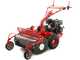 Blue Bird SG0813 - Desbrozadora profesional de martillos - Loncin G390F