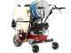 Carretilla fumigadora Eurosystems Carry Sprayer con motor Honda GCVx170