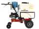 Eurosystems Carry Sprayer - Carretilla fumigadora - Motor Honda GCVx170