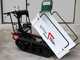 Carretilla de orugas con motor Seven Italy T500H GX - caj&oacute;n extensible - capacidad 500 kg