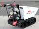 Carretilla de orugas Seven Italy T500HD GX-E - caja dumper - arranque el&eacute;ctrico - capacidad 500 kg hidr&aacute;ulico