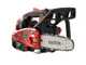 Blue Bird CSP 280T - Motosierra de mezcla de poda - Espada de 25 cm