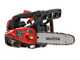 Blue Bird CSP 280T - Motosierra de mezcla de poda - Espada de 25 cm