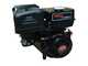 Hidrolimpiadora de gasolina Blackstone B-PW 15/300 con bomba Annovi &amp; Reverberi