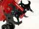 Eurosystems Z2-RM - Motoazada de gasolina 3.5 HP - Briggs&amp;Stratton 450