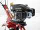Eurosystems La Zappa - Motoazada de gasolina 4 HP - Motor Loncin 123cc
