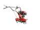 Einhell GC-MT 2560 LD - Motoazada de gasolina 5 HP - Motor 150cc 