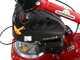 Eurosystems M210 - Motosegadora de doble cuchilla - Loncin LC1P65FE