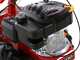 Eurosystems M210 - Motosegadora de doble cuchilla - Loncin LC1P65FE