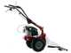 Eurosystems M210 - Motosegadora de doble cuchilla - Loncin LC1P65FE