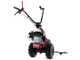 Eurosystems M210 - Motosegadora de doble cuchilla - Loncin LC1P65FE