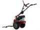 Eurosystems M210 - Motosegadora de doble cuchilla - Loncin LC1P65FE