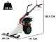 Eurosystems M210 - Motosegadora de doble cuchilla - Loncin LC1P65FE