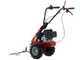 Eurosystem Minieffe - Motosegadora multifunci&oacute;n - Loncin L200 OHV