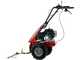 Eurosystem Minieffe - Motosegadora multifunci&oacute;n - Loncin L200 OHV
