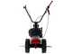 Eurosystem Minieffe - Motosegadora multifunci&oacute;n - Loncin L200 OHV