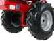 Eurosystem Minieffe - Motosegadora multifunci&oacute;n - Loncin L200 OHV