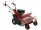 GeoTech-Pro GFM 600 L - Desbrozadora profesional de martillos - Loncin 250cc