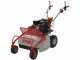 GeoTech-Pro GFM 600 L - Desbrozadora profesional de martillos - Loncin 250cc