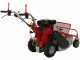 GeoTech-Pro GFM 600 L - Desbrozadora profesional de martillos - Loncin 250cc