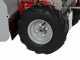 GeoTech-Pro GFM 600 L - Desbrozadora profesional de martillos - Loncin 250cc