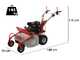 GeoTech Pro GFM 600 L - Desbrozadora profesional de martillos - Loncin LC175F-2