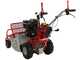 GeoTech Pro GFM 600 L - Desbrozadora profesional de martillos - Loncin LC175F-2