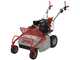 GeoTech Pro GFM 600 L - Desbrozadora profesional de martillos - Loncin LC175F-2