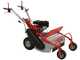GeoTech-Pro GFM 600 - Desbrozadora profesional de martillos - B&amp;S CR950