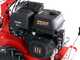 GeoTech-Pro GFM 760 L-E - Desbrozadora profesional de martillos - Loncin G420FD
