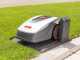 Robolinho AL-KO 800 W - Robot cortac&eacute;sped - Con cable perimetral