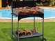 Famur BK 8 ECO - Barbacoa de le&ntilde;a y carb&oacute;n