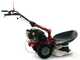 Eurosystems P55 - Motosegadora multifunci&oacute;n rotativa - Loncin 196cc