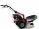 Eurosystems RS210 - Motosegadora multifunci&oacute;n rotativa - Loncin 196 OHV