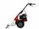 Eurosystems Minieffe M150 - Motosegadora multifunci&oacute;n - B&amp;S 625 EXi