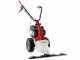 Eurosystems Minieffe M150 - Motosegadora multifunci&oacute;n - B&amp;S 625 EXi