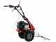 Eurosystems Minieffe M150 - Motosegadora multifunci&oacute;n - B&amp;S 625 EXi