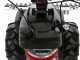Eurosystems Minieffe M150 RM - Motosegadora multifunci&oacute;n - Honda GCVx 170
