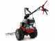 Eurosystems Minieffe M150 RM - Motosegadora multifunci&oacute;n - Honda GCVx 170