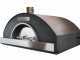 Horno de le&ntilde;a Profesional INOX F00100 - 10 pizzas