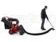 GeoTech Pro LV650 SPBS Deluxe - Aspirador de hojas - Biotrituradora autopropulsado de marchas - B&amp;S Vanguard
