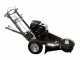 BlackStone SG 420 L ES PRO - Destoconadora - Motor Loncin de 420cc - Rotor de corte con 8 fresas de carburo de tungsteno