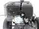 BlackStone SG 420 L ES PRO - Destoconadora - Motor Loncin de 420cc - Rotor de corte con 8 fresas de carburo de tungsteno
