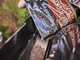 Weber Smoke Fire EX4 GBS - Barbacoa de pellet