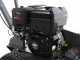 BlackStone TS 420 B&amp;S - Zanjadora de gasolina - B&amp;S XR2100