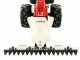 Eurosystems Minieffe M150 RM - Motosegadora multifunci&oacute;n - B&amp;S 625 EXi