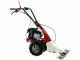 Eurosystems Minieffe M150 RM - Motosegadora multifunci&oacute;n - B&amp;S 625 EXi