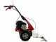 Eurosystems Minieffe M150 RM - Motosegadora multifunci&oacute;n - B&amp;S 625 EXi
