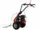 Eurosystems Minieffe M150 RM - Motosegadora multifunci&oacute;n - B&amp;S 625 EXi