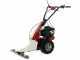 Eurosystems Minieffe M150 RM - Motosegadora multifunci&oacute;n - B&amp;S 625 EXi